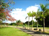 Luis Muñoz Marín Park - SAN JUAN